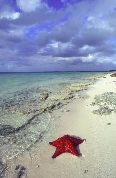 Fotky: Ostrovy Turks a Caicos (foto, obrazky)