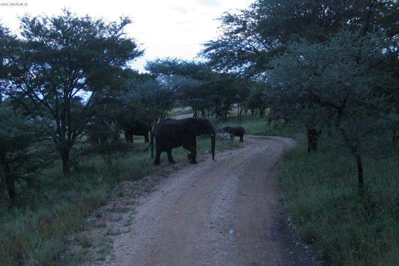 Fotky: Tanzanie (cestopis) (foto, obrazky)