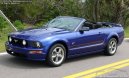 :  > Ford Mustang GT Premium Coupe (Car: Ford Mustang GT Premium Coupe)