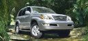 :  > Lexus GX 470 Sport Utility (Car: Lexus GX 470 Sport Utility)