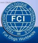Psí plemena: Rady chovatelům > Mezinárodní organizace psů (International organizations and federations handlers)