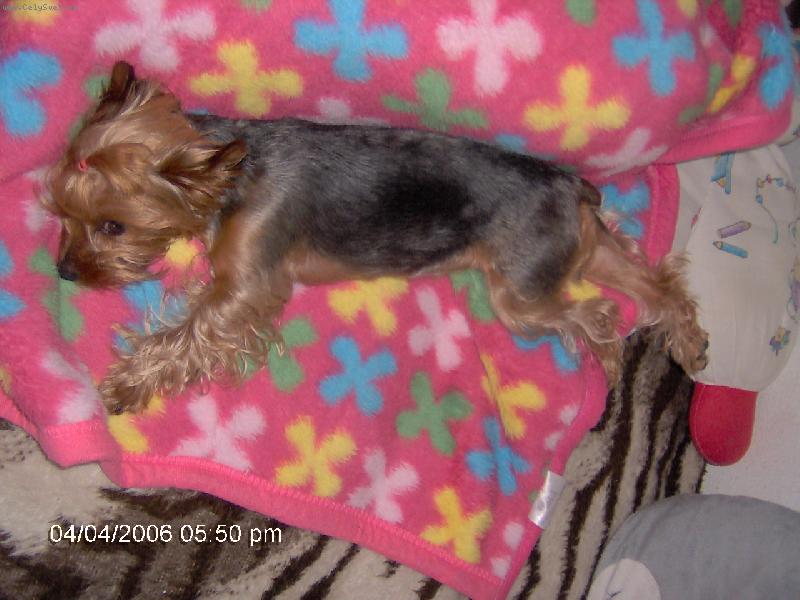 Foto: Poledn� siesta na chaloupce