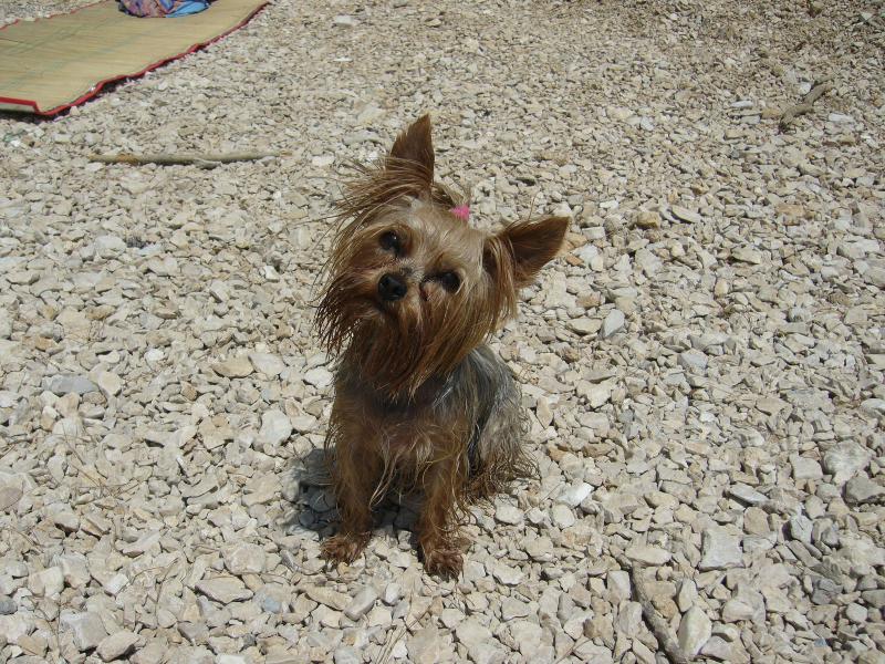 Foto: Mia z D���na-V Chorvatsku