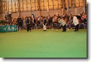 Crufts 2007