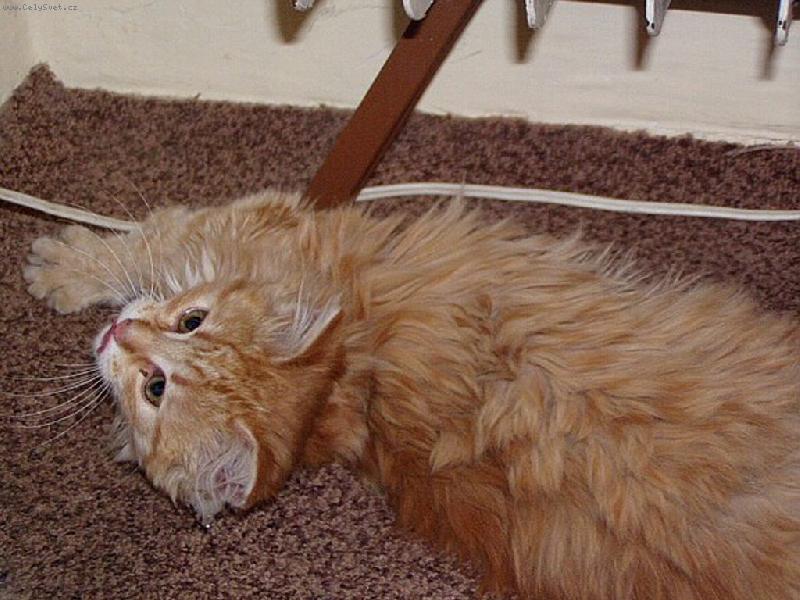 Foto: M�j mazel :)