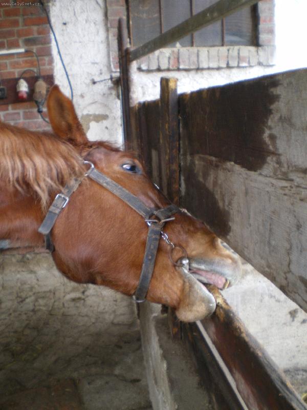 Foto: Simou�ek-&amp;quot;Moc mi to chutnalo dokud mi to nenat�eli �ernou barvou =oP