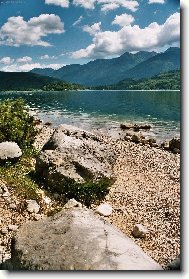 Bohinjsk jezero