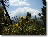 Popocatepetl