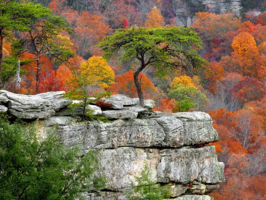 Foto: Buzzards Roost From Millikans Overlook, Fall Creek Falls State Resort Park, Tennessee