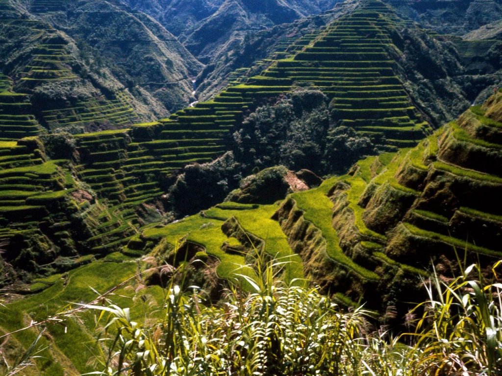 Foto: Ancient Rice Terraces, Philippines