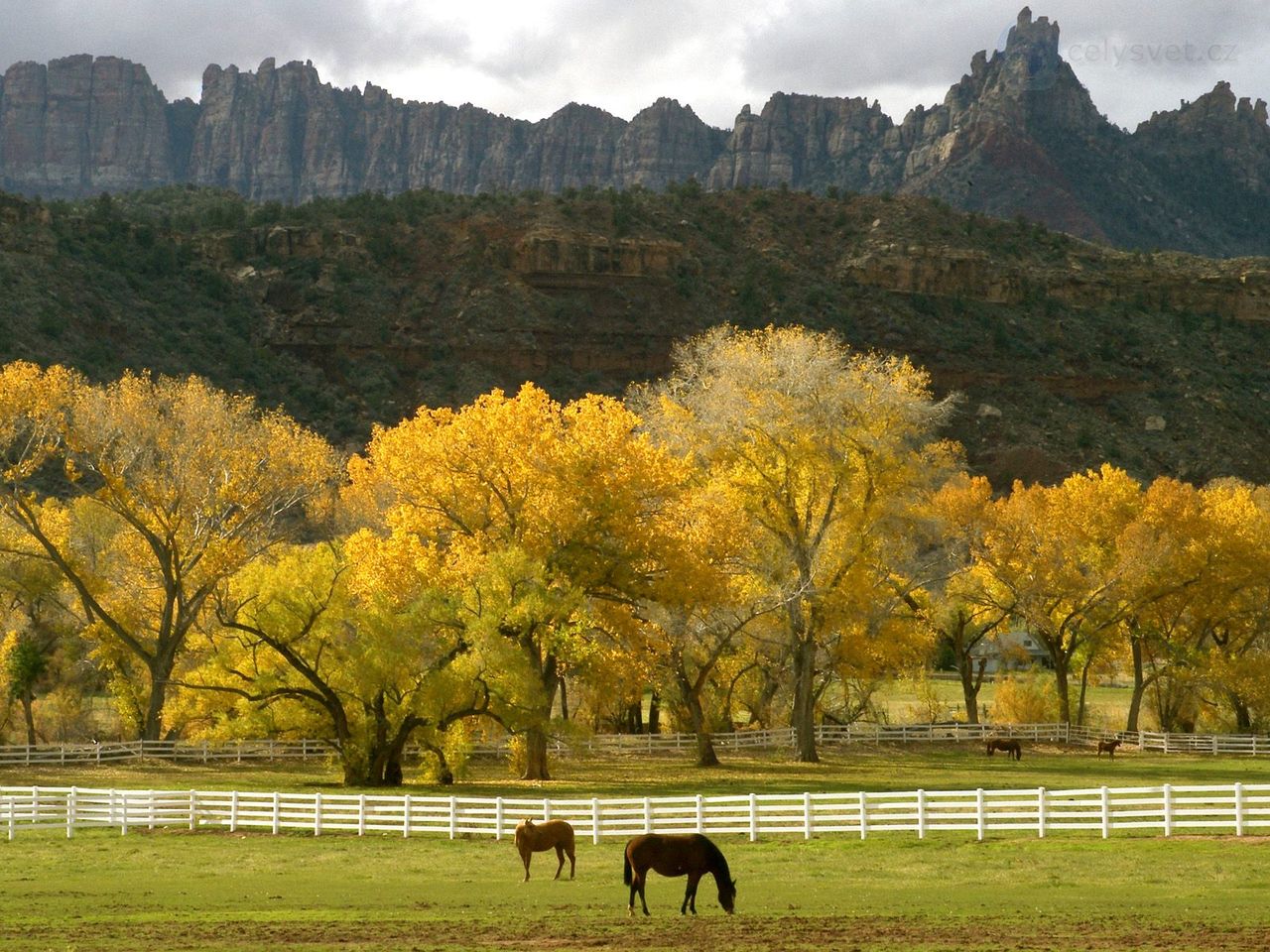 Foto: Autumn Season In The Country, Utah