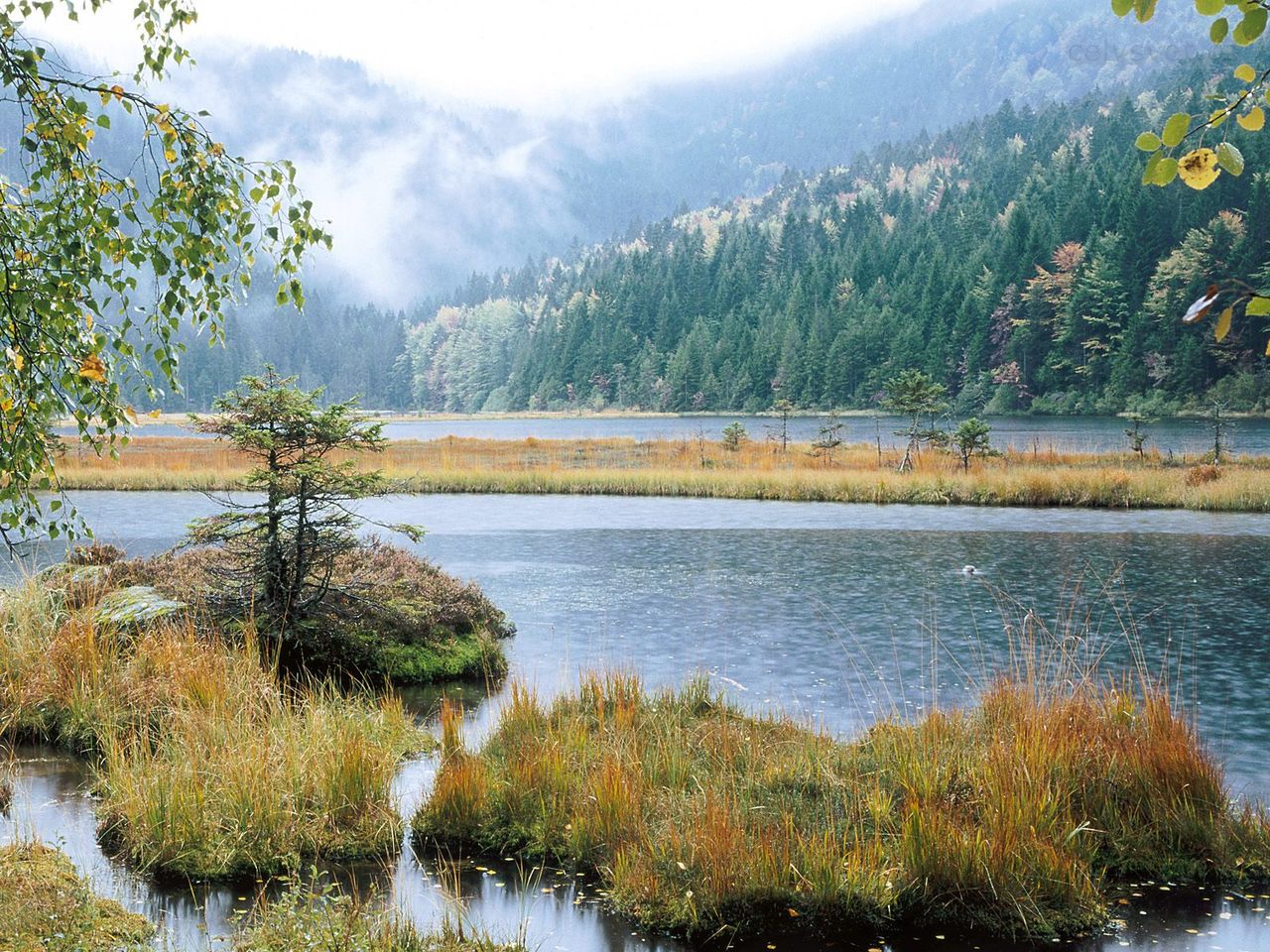 Foto: Small Arber Lake, Bavarian Forest, Germany