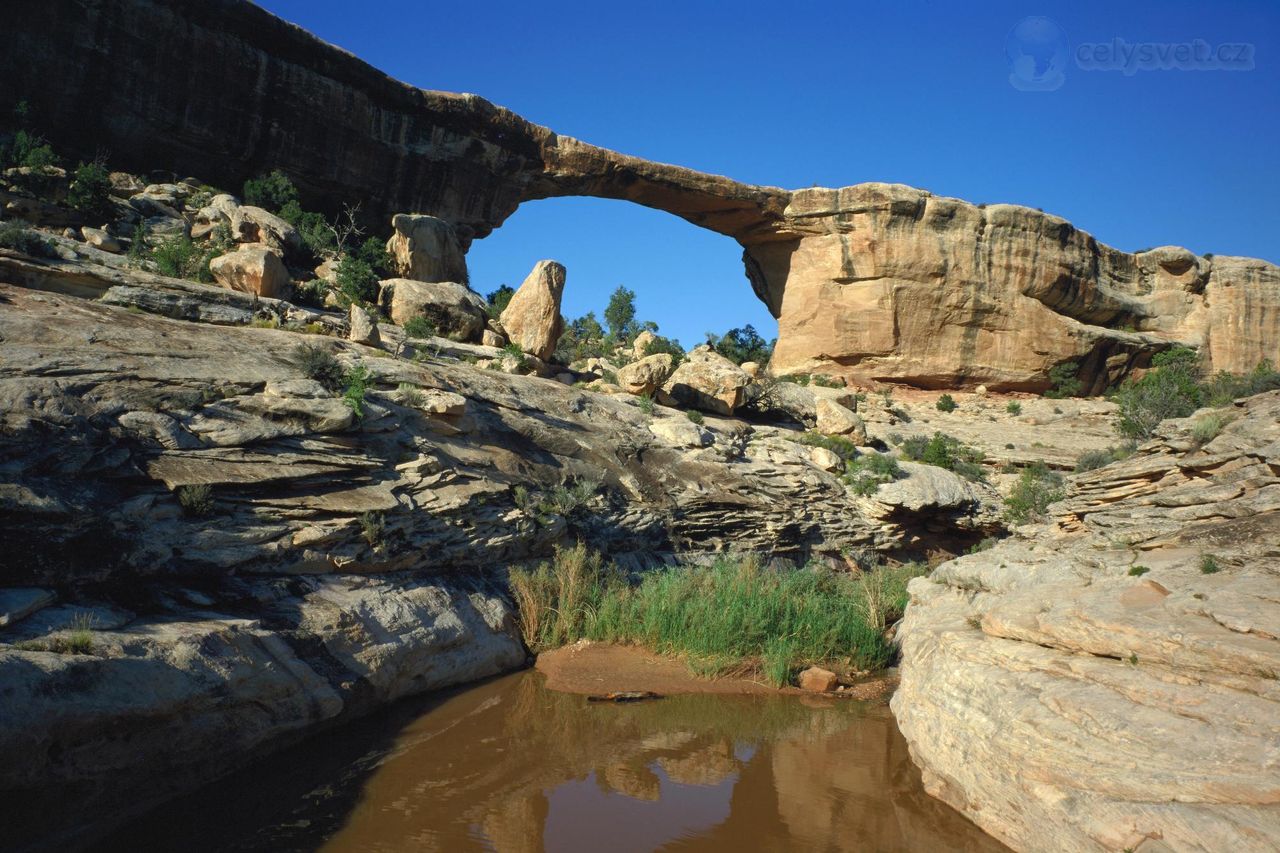 Foto: Owachomo Bridge, Natural Bridges National Monument, Utah