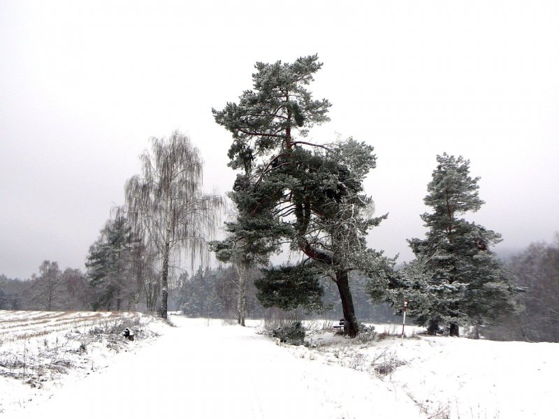 Foto: Silvestrovsk prochzka