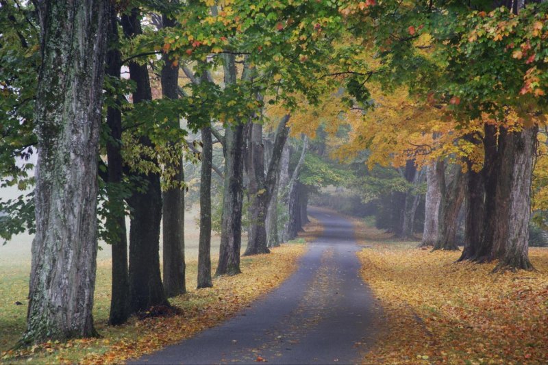 Foto: Journey Into Fall, Louisville, Kentucky