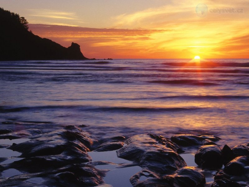 Foto: Oswald West State Park, Tillamook County, Oregon