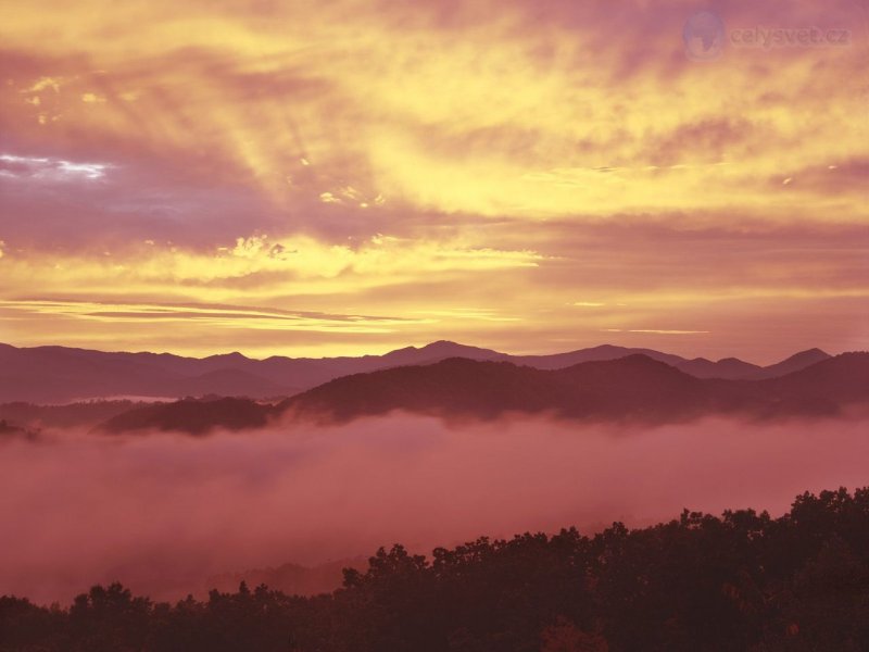 Foto: Foggy Sunrise, From The Foothills Parkway, Great Smoky Mountains, Tennessee