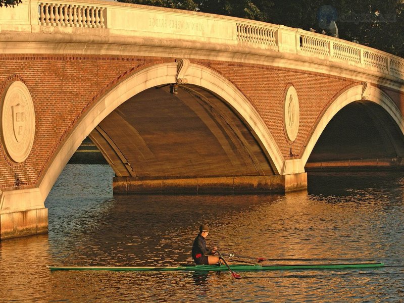 Foto: Sculler Below The Cambridge Bridge, Massachusetts