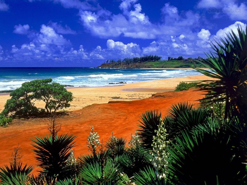 Foto: Kealia Beach, Kauai, Hawaii