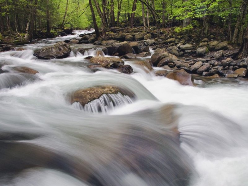 Foto: Rushing Creek In Spring, Great Smoky Mountains National Park, Tennessee