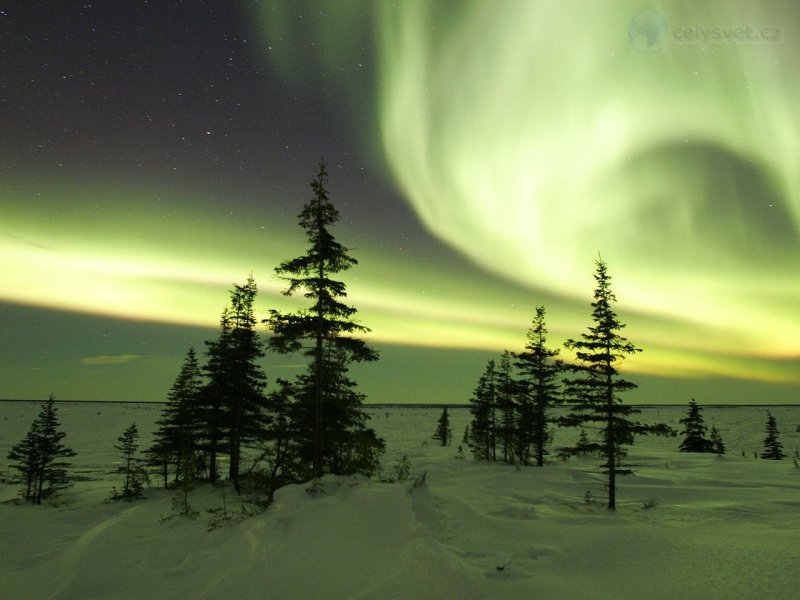 Foto: The Northern Lights In Winter, Churchill, Manitoba, Canada