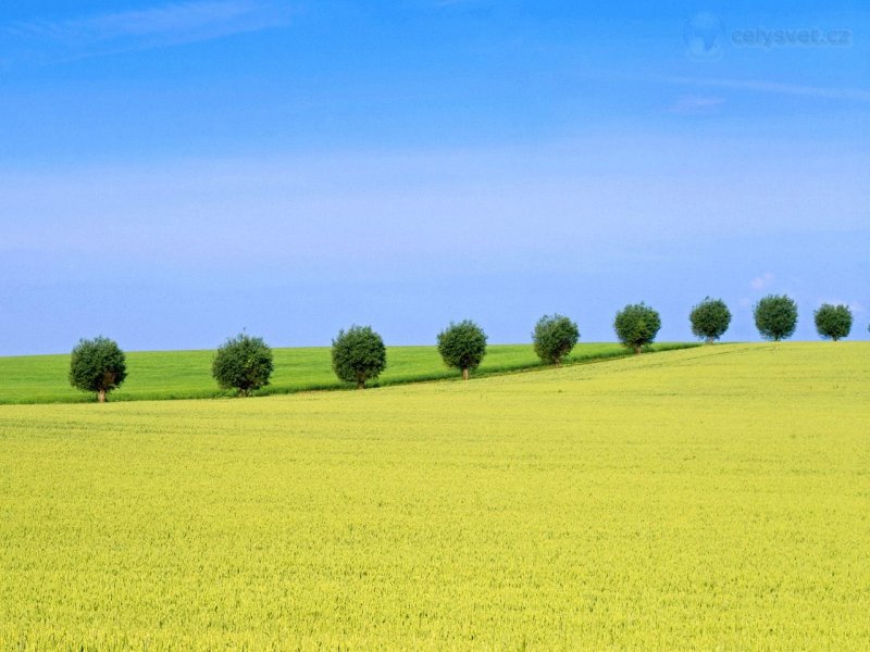 Foto: Natural Divide, Skane, Sweden