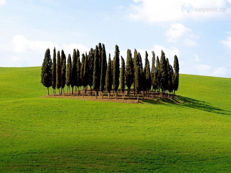 Foto: Scenic Siena Province, Tuscany, Italy