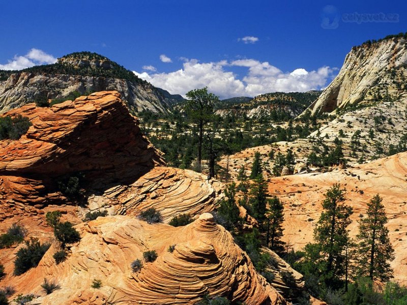 Foto: Swirling Sandstone Formations, Zion National Park, Utah