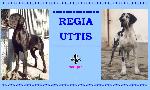 Chovatelska stanice ps: REGIA UTTIS